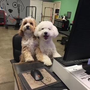 Meet your Posher, Nancy mullins